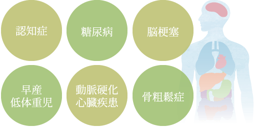 認知症、糖尿病、脳梗塞、早産低体重児、動脈硬化・心臓疾患、骨粗鬆症