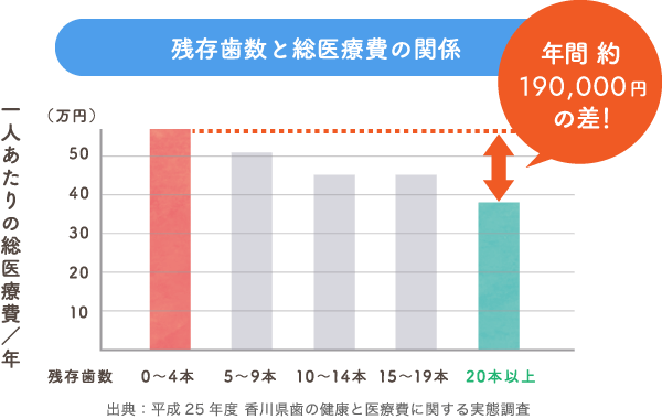 残存歯数と総医療費の関係：