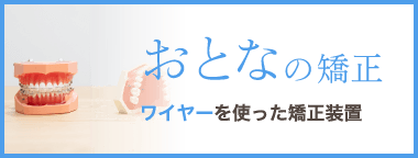 おとなの矯正：ワイヤーを使った矯正装置