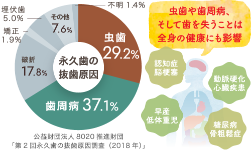 虫歯や歯周病、そして歯を失うことは全身の健康にも影響